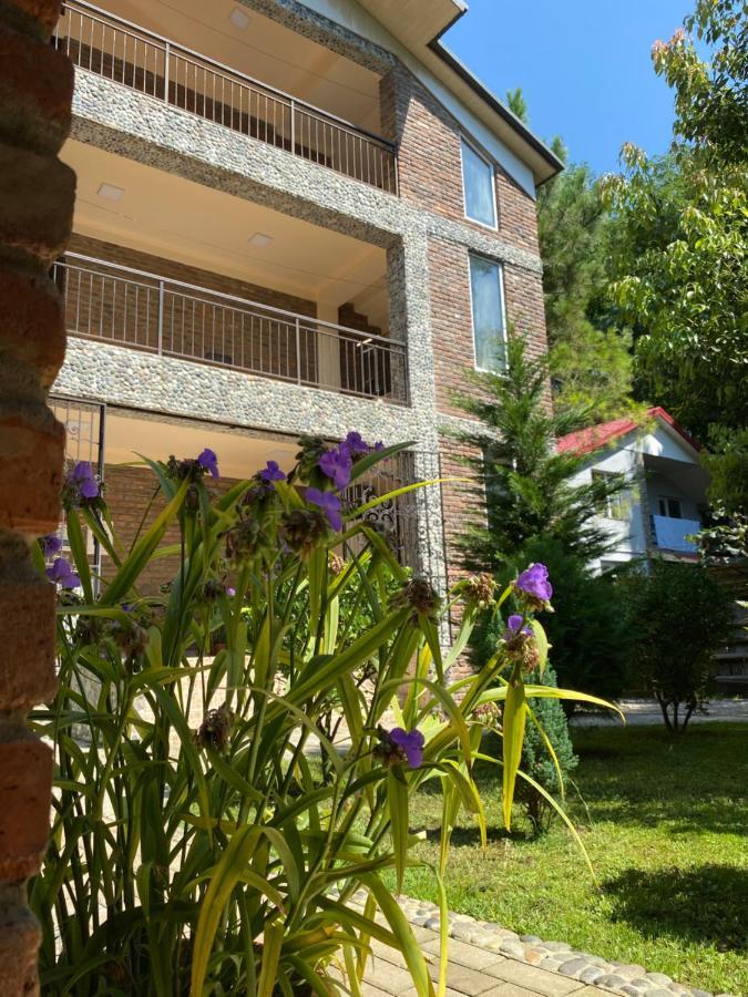 Guest house Shekvetili Extérieur photo
