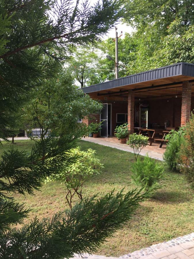 Guest house Shekvetili Extérieur photo